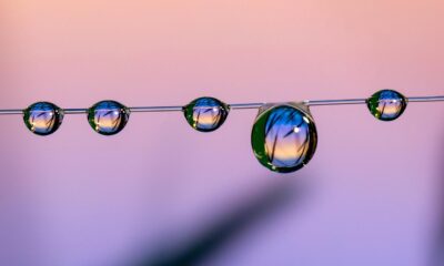 روبلكس يدمج الذكاء الاصطناعي في ستوديوه لتسريع إنشاء الألعاب