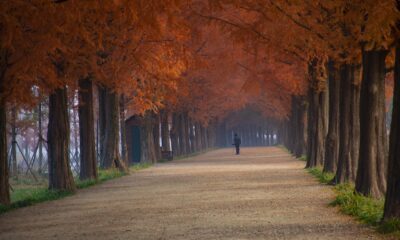 تسريح موظفين ميتا